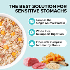 KOHA Boite ouverte alimentation chien agneau et riz blanc.