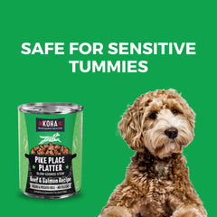 Assiette chien ragout humide KOHA, texture onctueuse