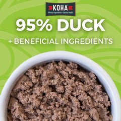 KOHA Pâté canard chat – bol servi, texture humide séduisante.