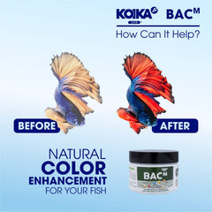 KOIKA BACM: probiotiques naturels soutenant la digestion des poissons.