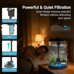 Koller Products Aquarium 360 boîtier transparent offre une clarté remarquable