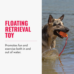 KONG Aqua en caoutchouc naturel, matériau résistant pour chiens actifs