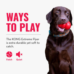 KONG Extreme disque: résistance et longévité pour les jeux quotidiens.