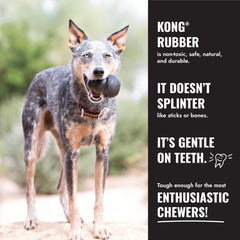 KONG Extreme Goodie Bone — en action, chien mordillant pendant le jeu.