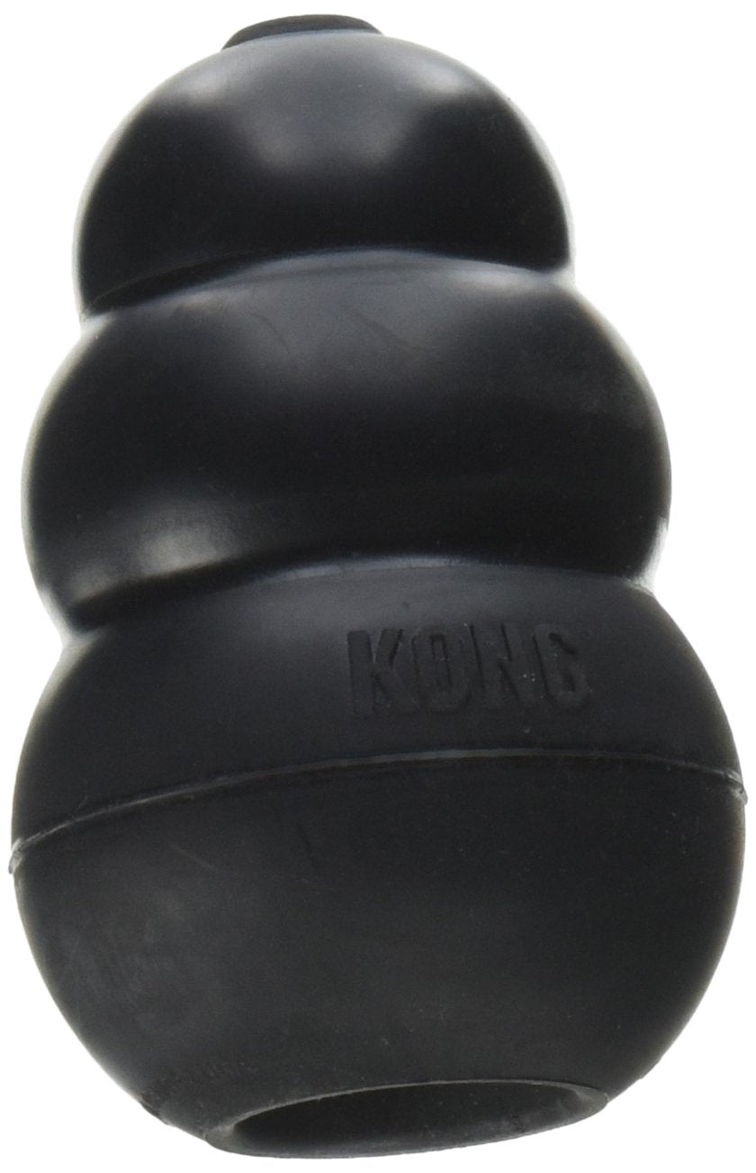 KONG Extreme - jouet dentition noir pour chien moyen, occupe et mordille sainement.