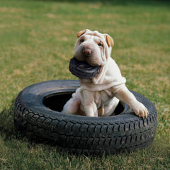 Côté du Kong Extreme Tires montrant le rebond dynamique pendant la mastication.