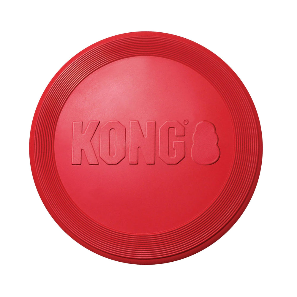 KONG Flyer, disque-volant-dur-exterieur: capture sûre en plein air
