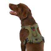 KONG harnais sac-poubelle ultra durable pour balades pratiques et propres.