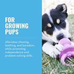 KONG Puppy Binkie rose, design mordillant stimulant l’autonomie des chiots.
