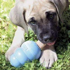 KONG Puppy Ziggies, aide au nettoyage dentaire pendant la mastication.