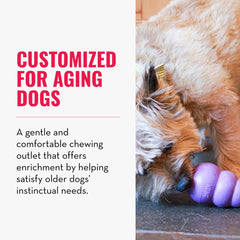 Jouet KONG Senior durable pour chien moyen, sessions de jeu prolongées.