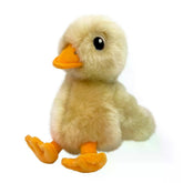 Jouet KONG Toughz peluche durable canard, parfait pour des jeux calmés après l effort.