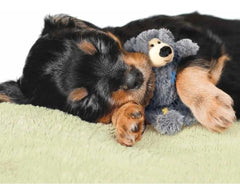 KONG Wild Knots Bears, couinement pour stimulation auditive lors du jeu.