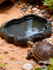 KooingTech abreuvoir tortue en ABS robuste, résistant aux chutes et durable.