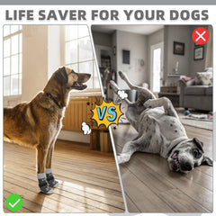 KOOLTAIL chaussettes chien sangle elastique reglable pour ajustement sûr.