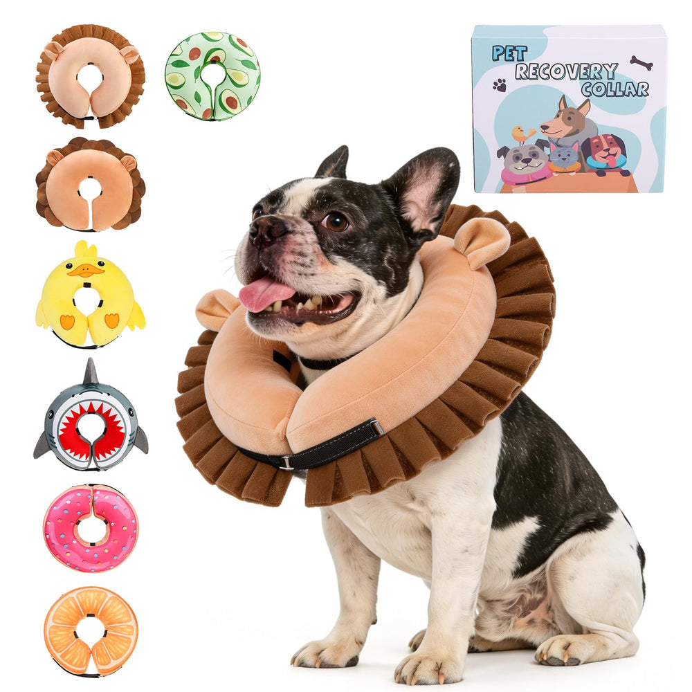 KOOLTAIL collier gonflable conique, vue frontale, confort et sécurité pendant la récupération.