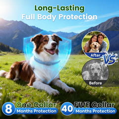 KOOSA collier-chien-etanche-durable, protection continue même sous la pluie