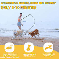 KOXXUD Flirt Pole pour chien intérieur, divertissement et énergie canalisée.