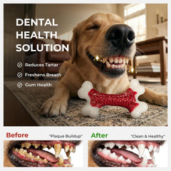Kseroo jouet chien interactif avec textures variées pour stimulation.
