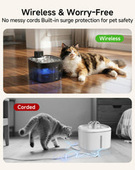 Ksuefao fontaine chat inox plateau: plateau inox facile à nettoyer et durable