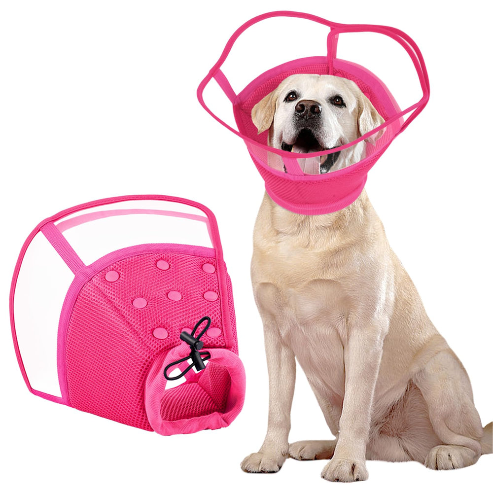 Kuoser collier conique doux pour chien après chirurgie offrant une protection.