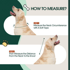 Kuoser collier conique doux pour chien avec fermeture sécurisée et maintien.