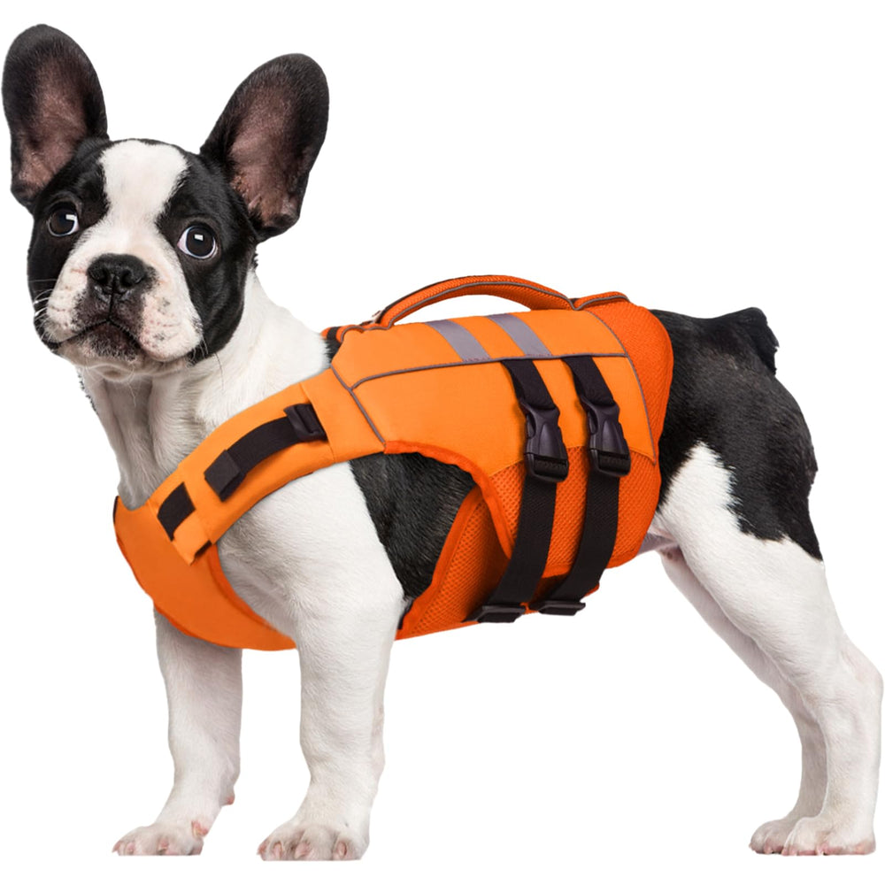 Gilet Kuoser pour petit chien, flottant, sécurité aquatique.