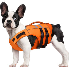 Gilet Kuoser pour petit chien, flottant, sécurité aquatique.
