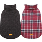 Manteau Kuoser imperméable pour chien, vue frontale, protection contre la pluie.