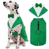 Kuoser smoking pour chien Saint-Patrick, tenue formelle idéale pour les fêtes et défilés.