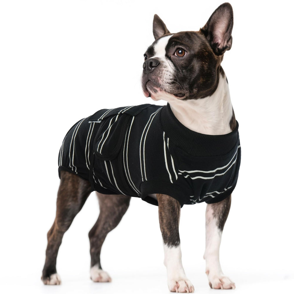 Kuoser tenue récupération chien avant : protège les plaies et permet le mouvement.