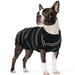 Kuoser tenue récupération chien avant : protège les plaies et permet le mouvement.