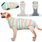 Kuoser Veste recuperation chien et chat, vue generale et protection post-chirurgie.