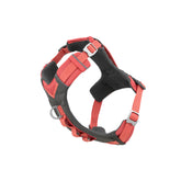 Kurgo Journey Air : vue d ensemble du harnais léger pour chiens actifs.