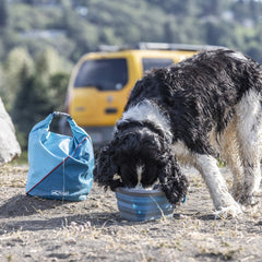 Kurgo Kibble Carrier revêtement intérieur sûr pour aliments, repas propres en extérieur.