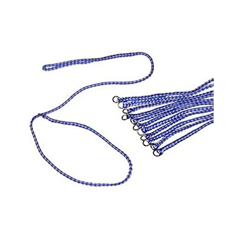Laisse KVP tressée durable, contrôle rapide lors des promenades.