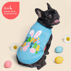 KYEESE chien imprimés paques couleur: style coloré pour les rendez-vous printaniers.