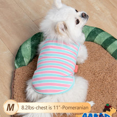 KYEESE-dog-shirt-utilisation-interieure-exterieure: confort intérieur et extérieur au quotidien.