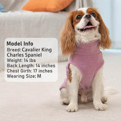 KYEESE gilet-chien-deux-pack, deux styles pratiques dans un seul pack.