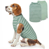 Haut KYEESE en maille-waffle vert pour chien, confort et aération.