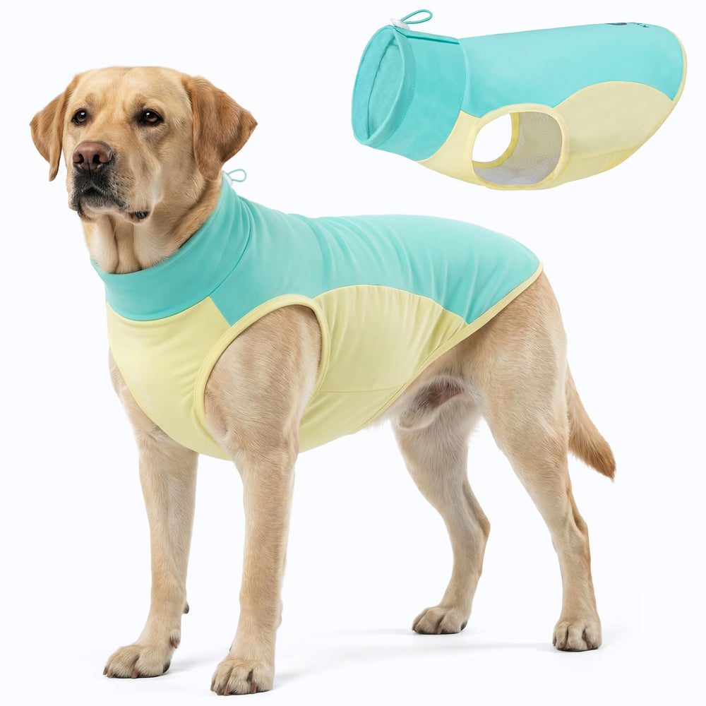 KYEESE gilet refroidissant pour chien, vue dos et tampon refroidissant amovible.