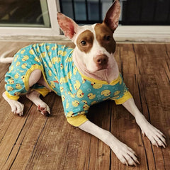 KYEESE pyjama chien velours canard jaune, facile à enfiler.