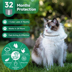 KYGNE collier antipuces chat gris, résiste à l'eau et à l'usage quotidien.