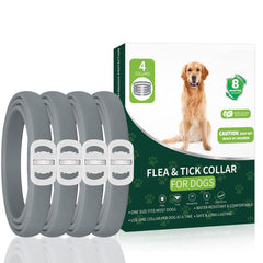 KYGNE collier anti-puces et tiques pour chien en extérieur, protection durable lors des sorties