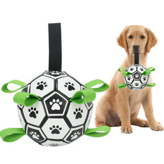 Kylinsure ballon-football chien avec sangles, pratique pour ramasser et jeux en extérieur.