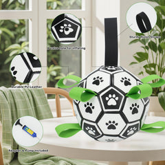 Kylinsure ballon-football chien nageant, idéal pour les jeux d'eau.