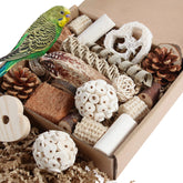 Kyouki boîte-forage naturelle pour oiseaux, stimulation et exploration