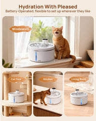 LABEKA capacité 2,5 L maintient l'eau disponible pour plusieurs chats.
