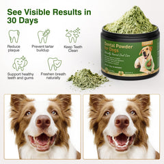 Ladnut poudre dentaire chien versement sur nourriture pour repas facile
