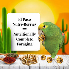 LAFEBER'S El Paso Nutri-Berries boules forage stimulant le bec.